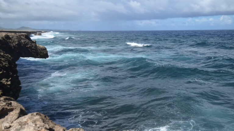 The Curacao Coast
