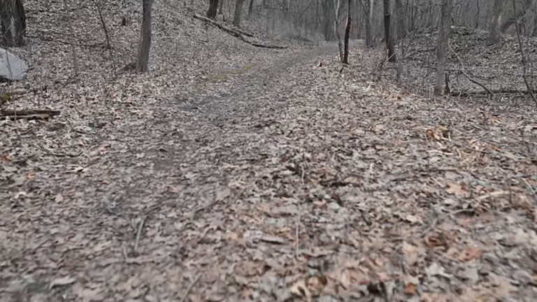 Walking Into Spring
